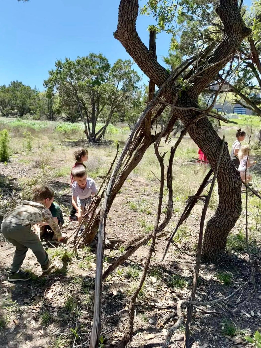 Children building a shelter with sticks and branches outdoors in a Hill Country field