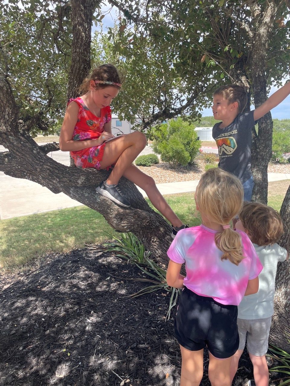 A child reading in a tree while other children listen below